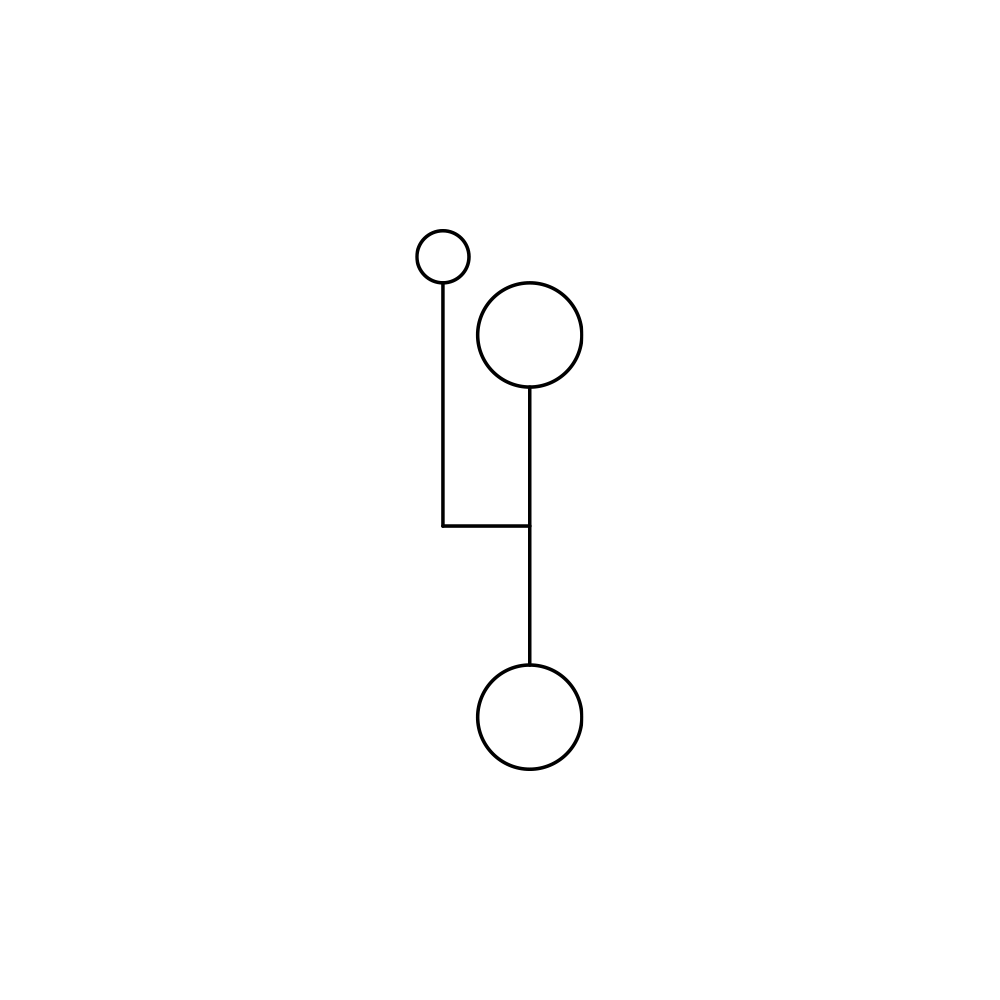 Schema Custom