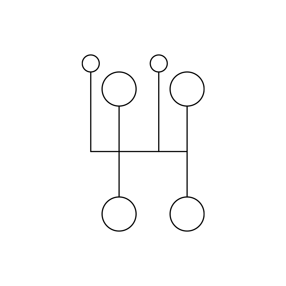 Schema Custom
